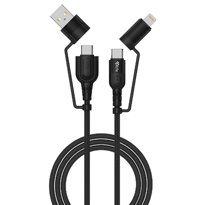 Cable ProConnect 4 en 1 – 60 W / 1 m